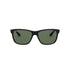 Occhiali da Sole Ray-Ban 4181