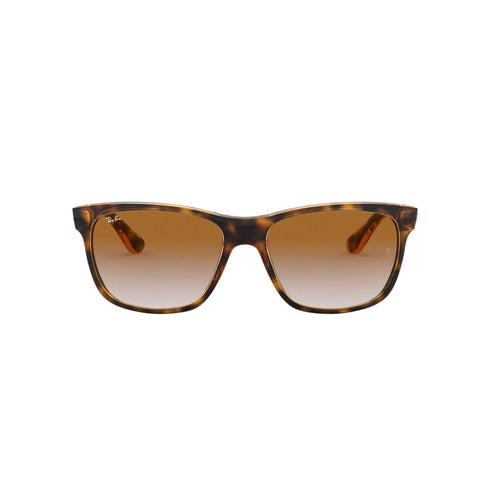 Occhiali da Sole Ray-Ban 4181