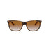 Occhiali da Sole Ray-Ban 4181