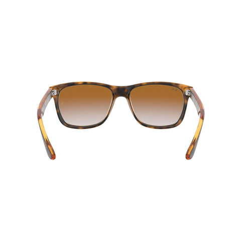 Occhiali da Sole Ray-Ban 4181