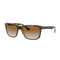 Occhiali da Sole Ray-Ban 4181
