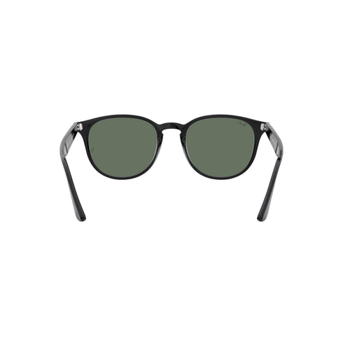Occhiali da Sole Ray-Ban 4259
