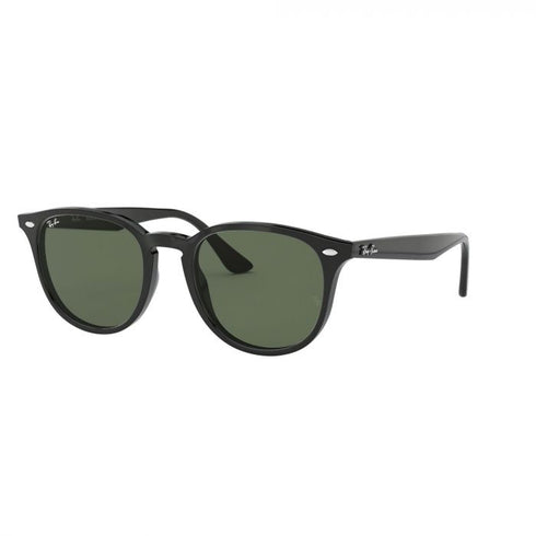 Occhiali da Sole Ray-Ban 4259