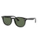 Occhiali da Sole Ray-Ban 4259
